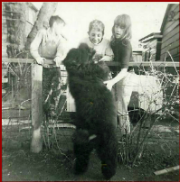 Photo of Kids and a Poodle